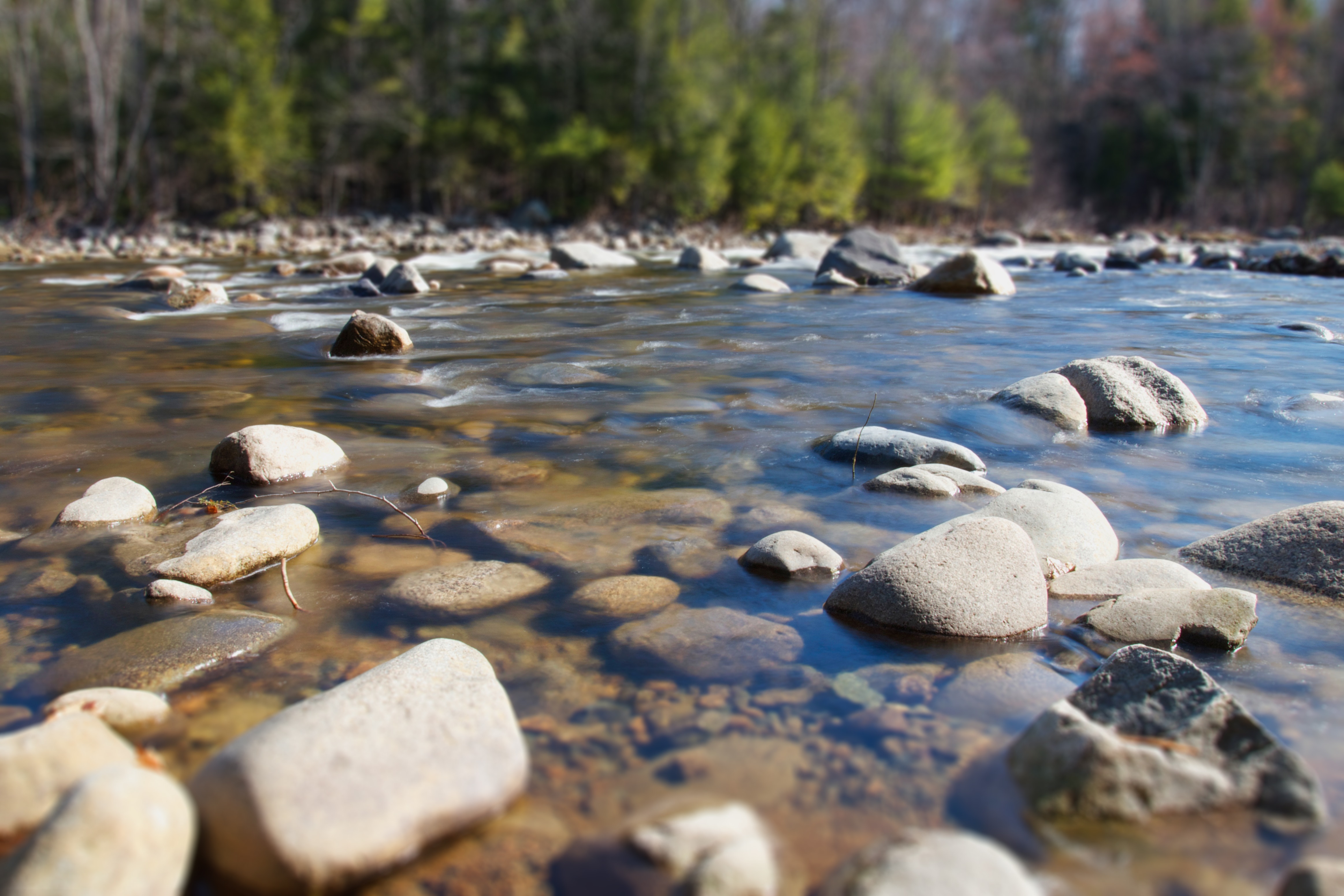 Supporting the restoration of Beer Creek.