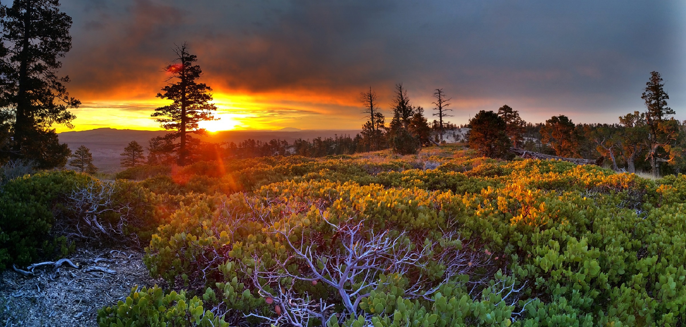 Utah provides some of the World's most beautiful natural landscapes.